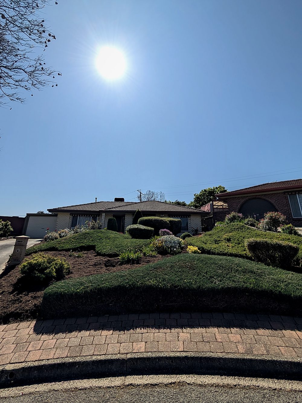 Sculpted, terraced front-garden beds and manicured shrubs