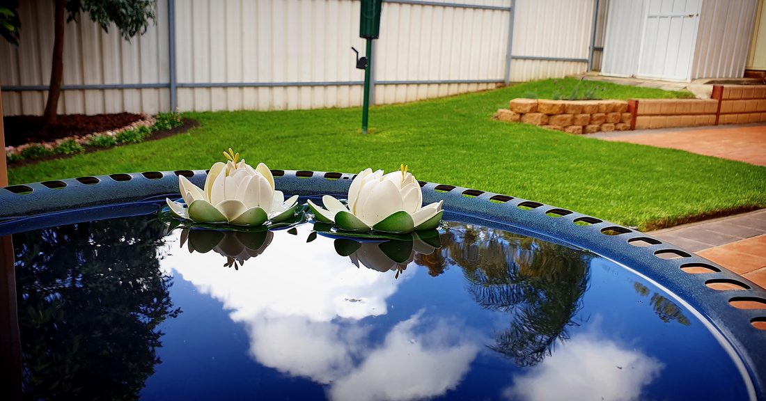 Garden water feature with lilies beside a lush lawn