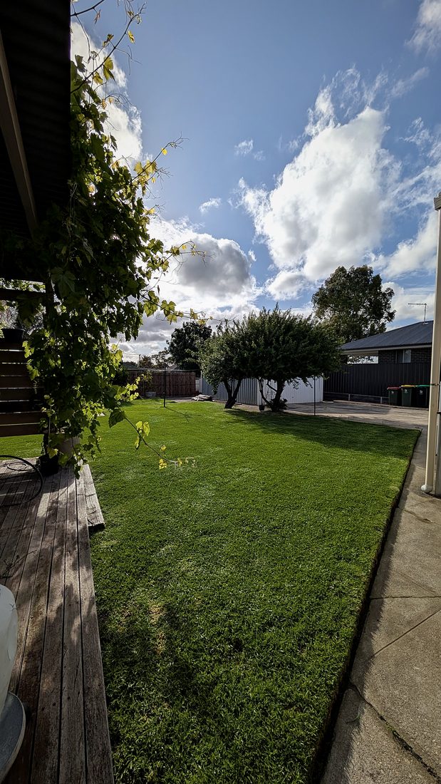 Healthy green backyard lawn beside a timber deck