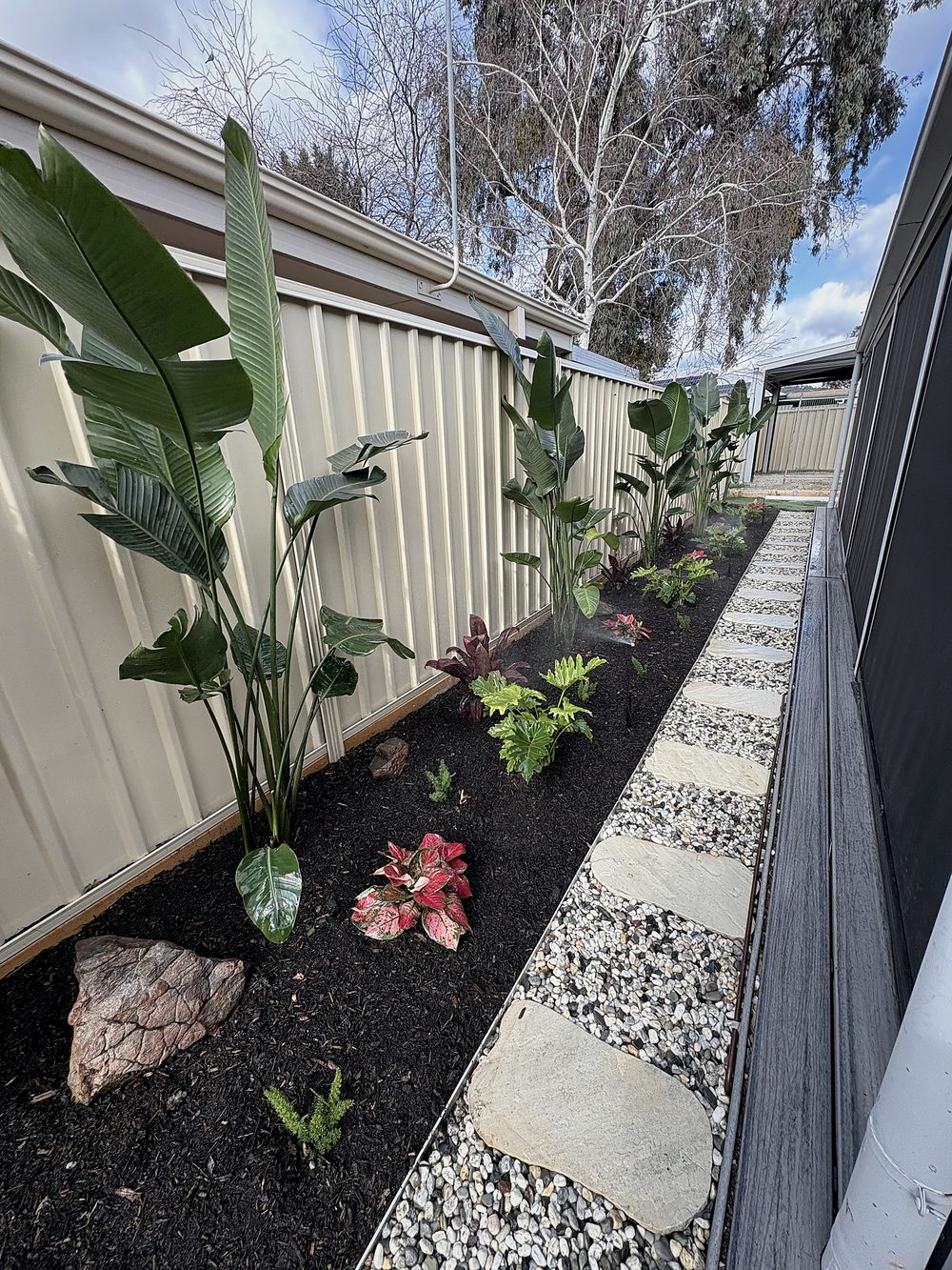 A side garden after Iris — tropical planting, mulch and stepping-stone path