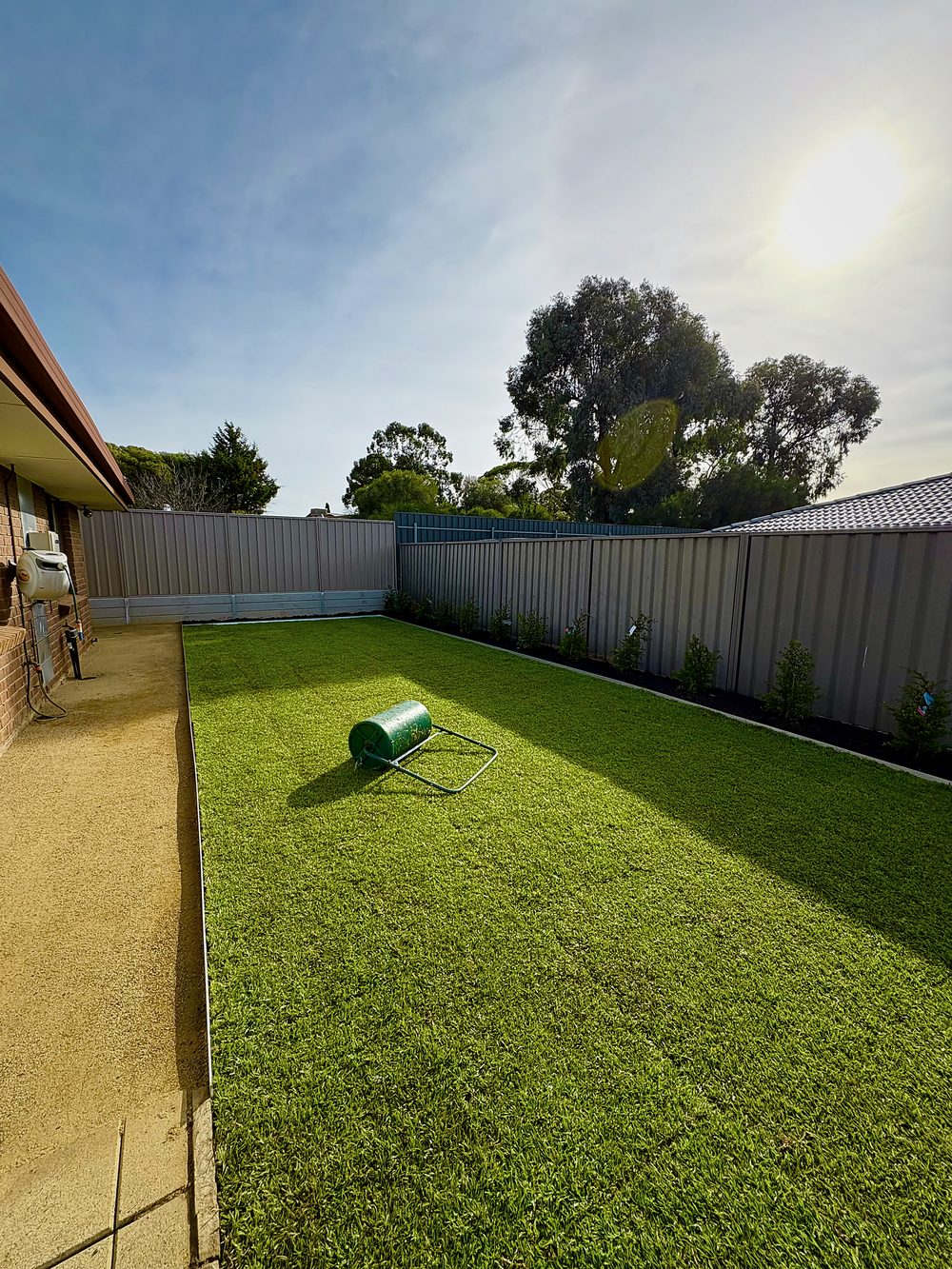 A freshly laid, rolled lawn after Iris, with new plantings along the fence