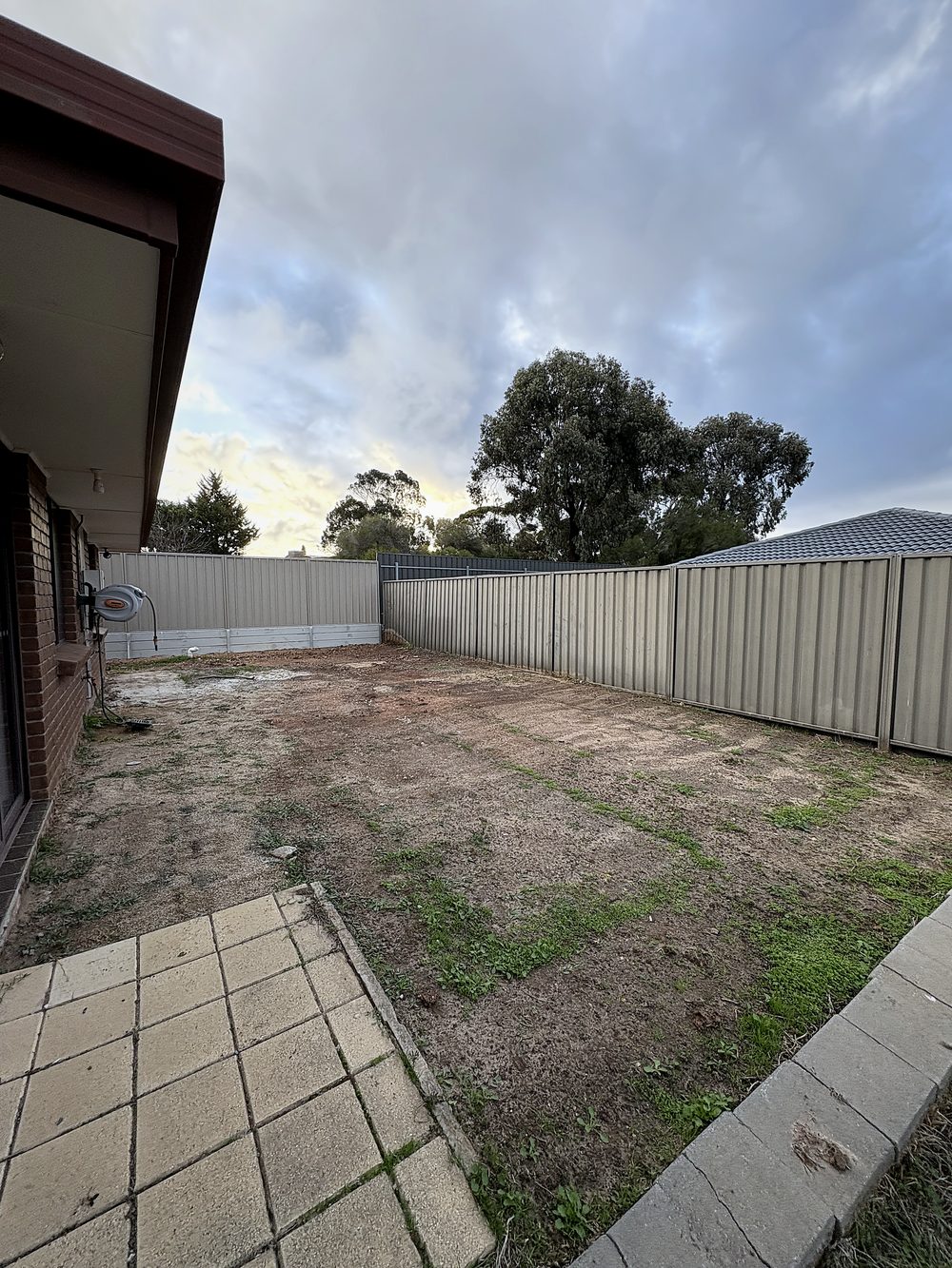 The yard before — bare dirt and dead patchy grass
