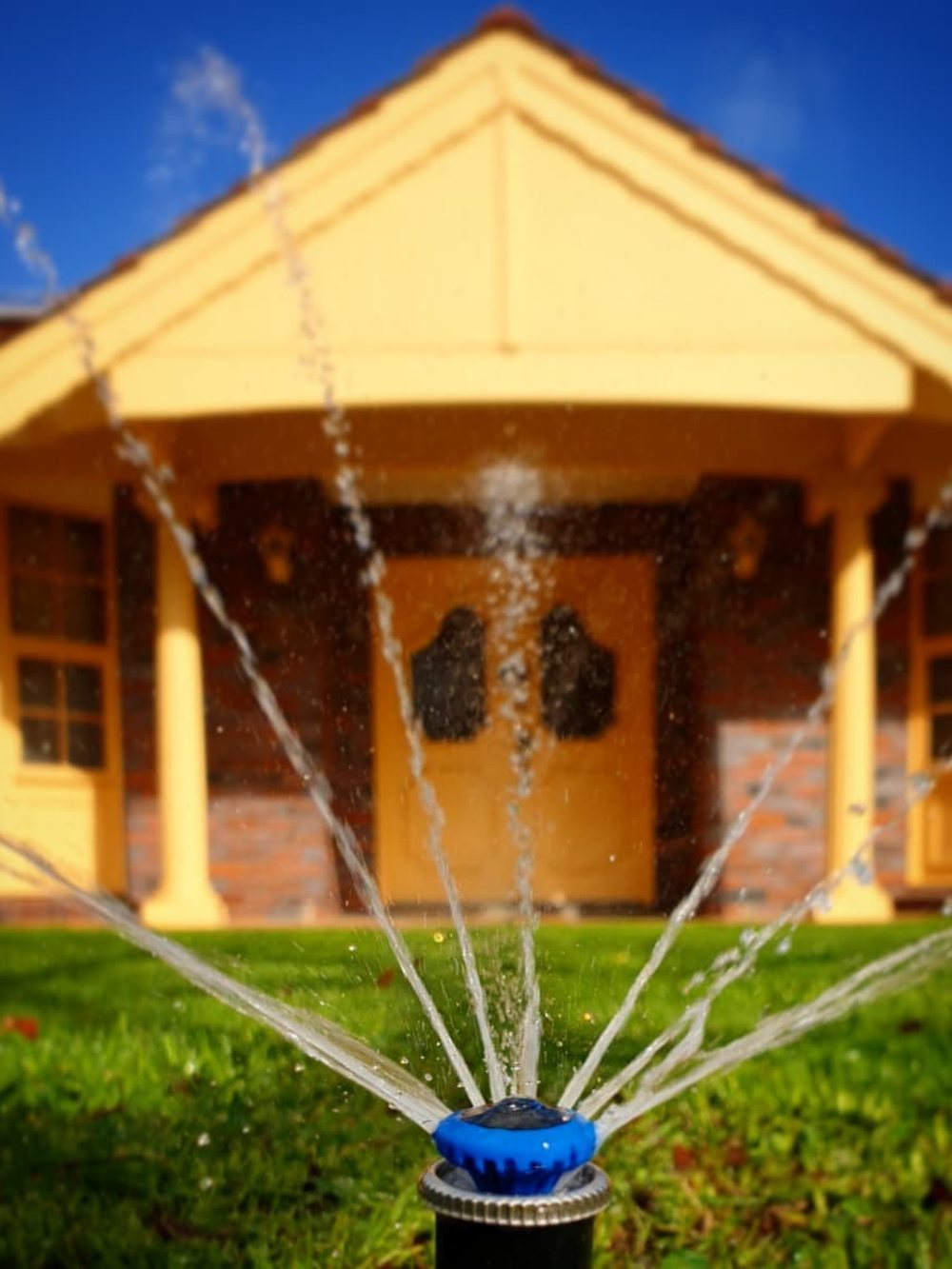 A lush, well-watered lawn under blue sky with an irrigation sprinkler running