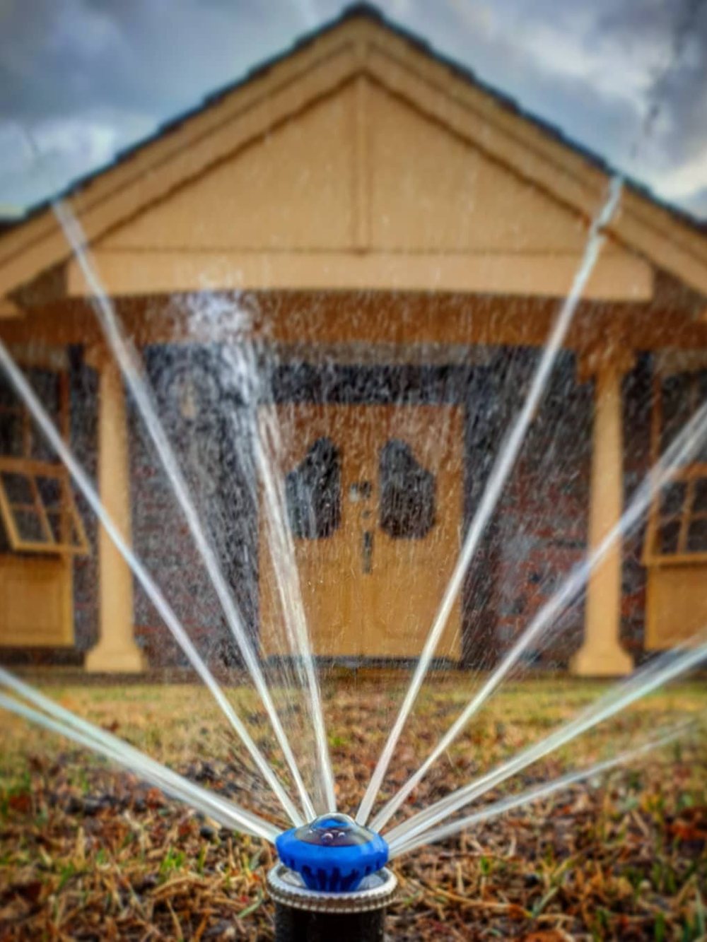 A dry, struggling lawn under a grey sky before irrigation