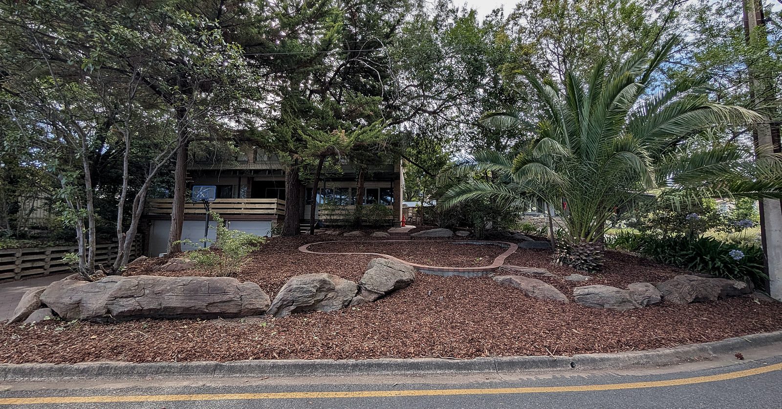 A tidy mulched rock garden with feature boulders and palms after Iris