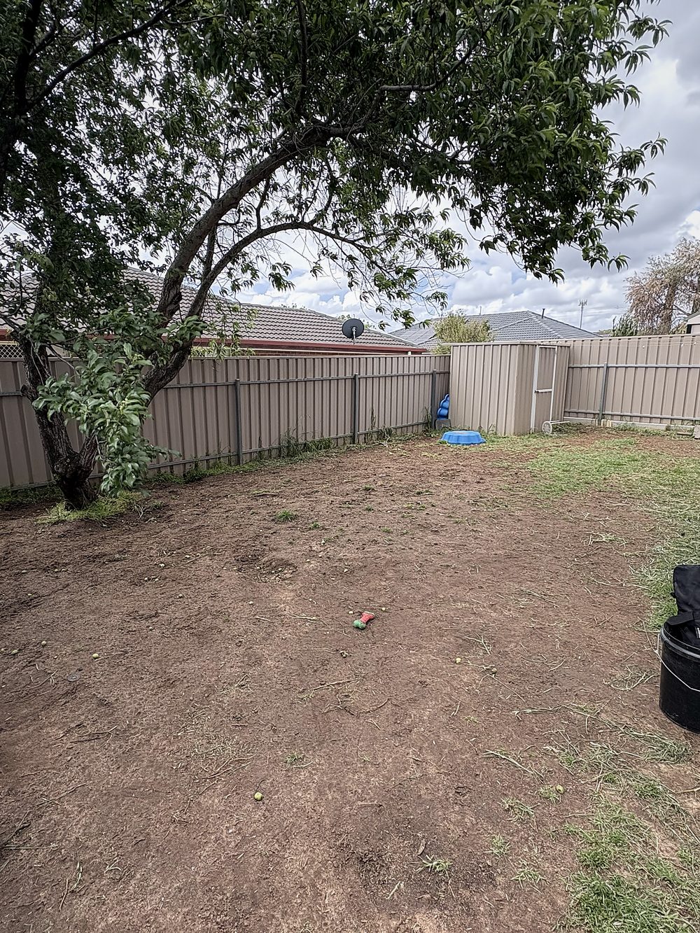 The backyard before — bare dirt and patchy grass